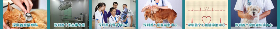 深圳市必威电竞app下载宠物医院